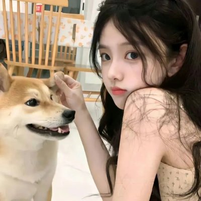 萌犬好声音2